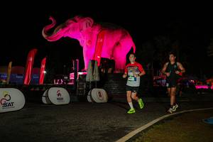 BIB: 
                            <button type="button" onclick="openModal(26534185)" class="btn btn-primary btn-sm float-right btn-popup" data-toggle="modal" data-target=".modal-high-quality">
                        <i class="fas fa-shopping-cart"></i> Add to Cart
                    </button>
                                            <button type="button" onclick="isThisMe(26534185, true)" class="btn btn-success btn-sm float-right btn-popup btn-isme hidden" data-toggle="tooltip" data-placement="bottom" title="นี่คือรูปของคุณใช่ไหม คลิกที่นี่เพื่อเอาเข้าอัลบั้ม">
                        <i class="fas fa-plus"></i> Add to album
                    </button>
                    <button type="button" onclick="isThisMe(26534185, false)" class="btn btn-warning btn-sm float-right btn-popup btn-isnotme hidden">
                        <i class="fas fa-ban"></i> Remove from album
                    </button>